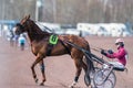 Harness racing in Sweden Royalty Free Stock Photo